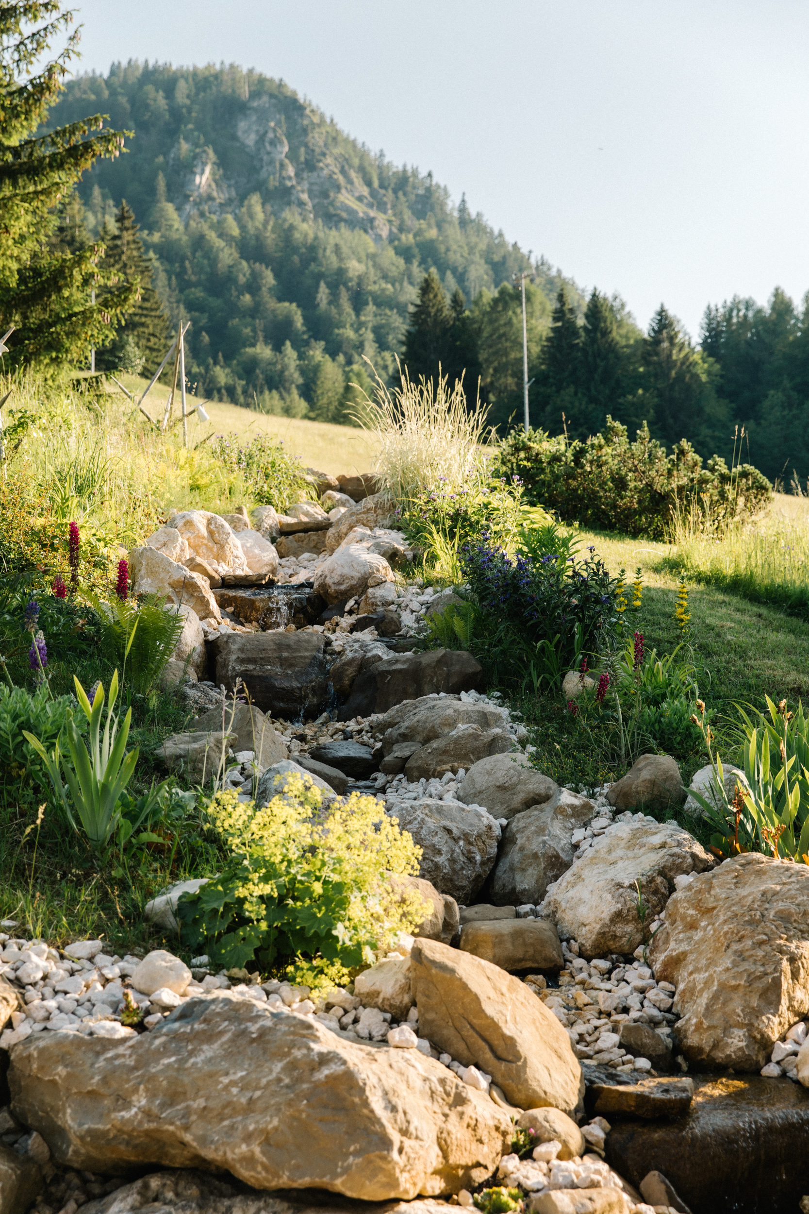 Mountain Love & Activities