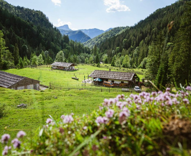 ALM.SOMMER